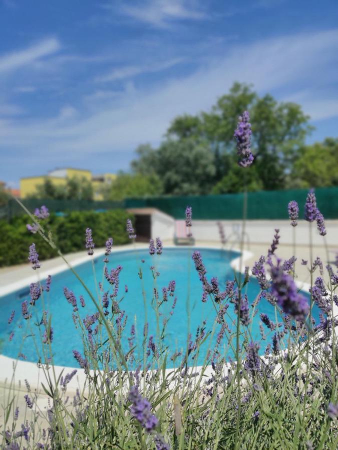 Medulin: Blue Oasis For A Perfect Vacation Appartement Buitenkant foto